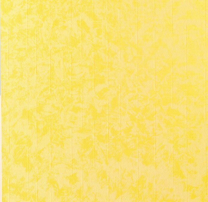 web_8210529641_c13c088562_o