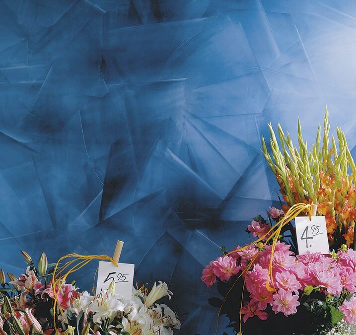 blau, Blumen, Blumenladen, Straeucher, Preisschild